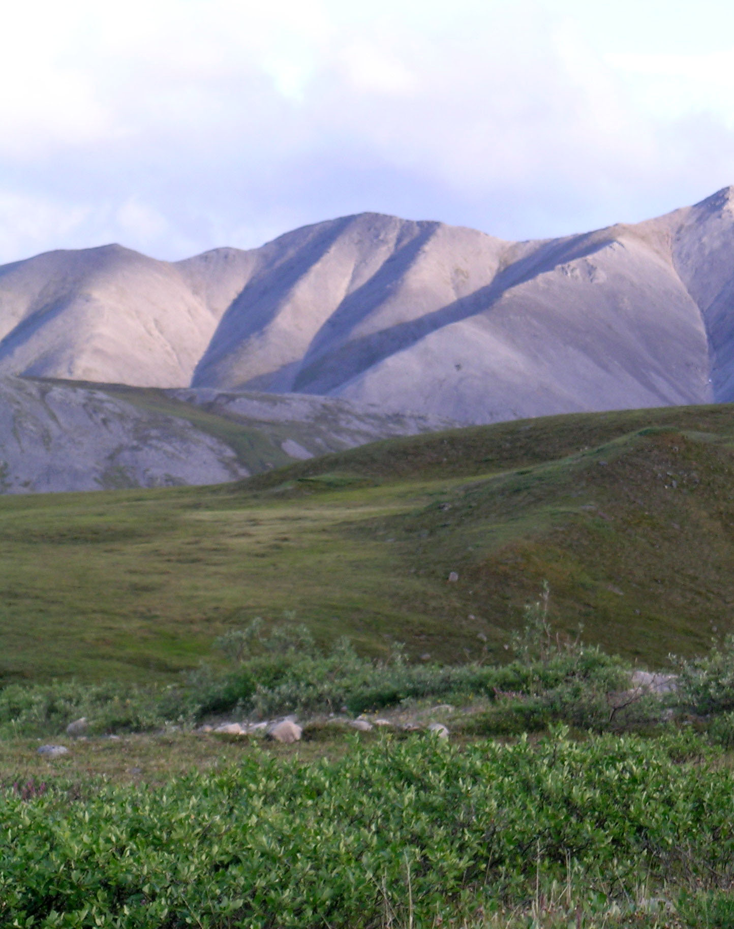 Click for larger picture